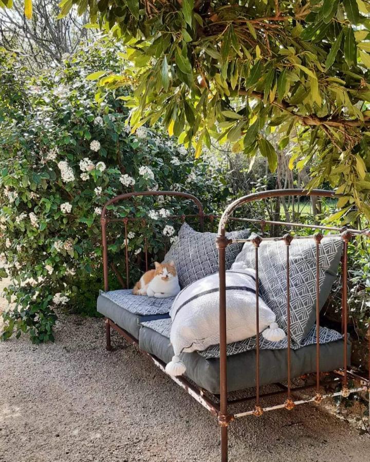 Mas Notre-Dame, Adult Only, Situation Ideale, Grand Jardin Paisible Гроспиер Екстериор снимка